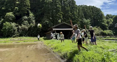 A group of people throwing bundles of rice seedlings beside a flooded rice paddy, with a wooden farm building and forested hills in the background.