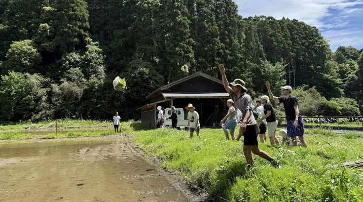 A group of people throwing bundles of rice seedlings beside a flooded rice paddy, with a wooden farm building and forested hills in the background.