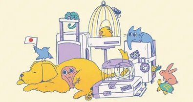 Pets awaiting transport to Japan